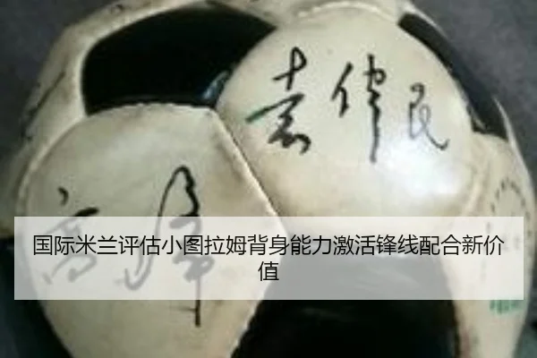 guo-ji-mi-lan-ping-gu-xiao-tu-la-mu-bei-shen-neng-li-ji-huo-feng-xian-pei-he-xin-jia-zhi-3-467.jpg