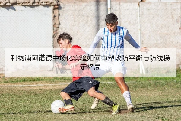 img_1783154199940_258_1_709.jpg
